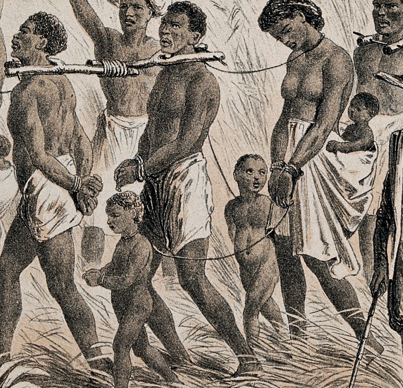 Slave coffle image by Iconographic Collections, CC BY 4.0, via Wikimedia Commons. This part of real American history is so well concealed that, despite extensive documentation of their existence, almost no engravings or other types of images portraying slave coffles (long marches of hundreds of miles in chains) are available. Women were often forced to march hundreds of miles, separated from families and/or husbands, to “breed” slave children.